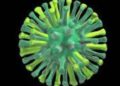 Cuba confirms first bird flu cases