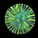 Cuba confirms first bird flu cases