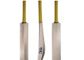 bat