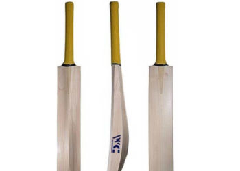 Kashmiri bat manufacturing company to provide platform to talented players to reach international level