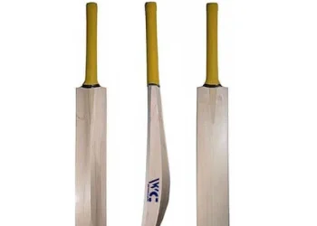 bat