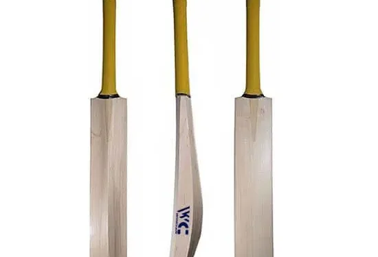 bat