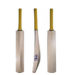 Kashmiri bat manufacturing company to provide platform to talented players to reach international level