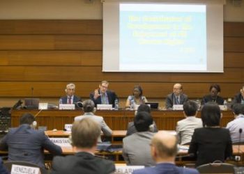 UN stresses importance of right to development