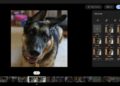 Google rolling out new video editing features in Photos app on Chromebook
