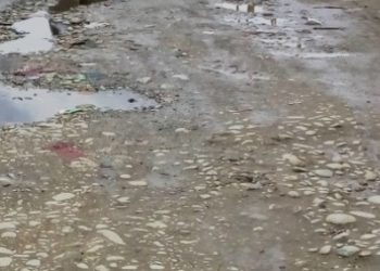 Resident, drivers rue ‘pathetic’ Gund-Sonamarg road