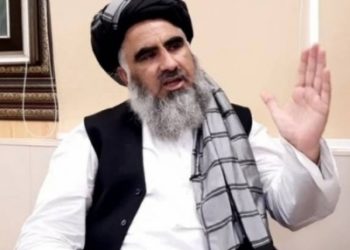 Pakistan minister killed in road accident