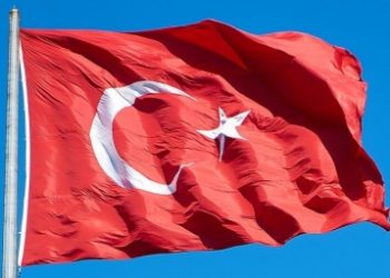 Turkey summons Danish ambassador over anti-Islam protests