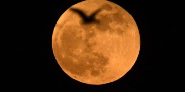 Why suicidal deaths spike during the full moon week