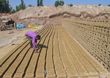 Budgam people urge govt to support them in reviving traditional brick-making