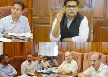DC Bandipora reviews progress of Agriculture, Allied Sectors