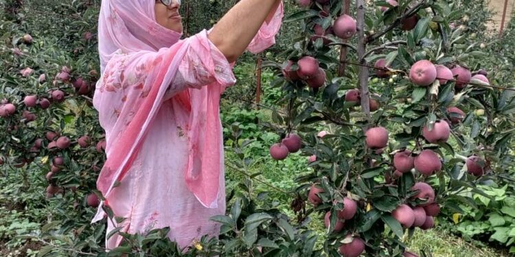 This woman left law profession to become an integrated farmer