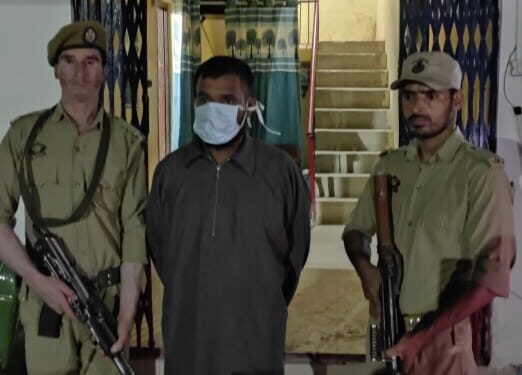 Police arrests drug peddler in Bandipora; Psychotropic substance recovered