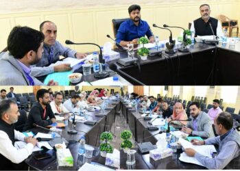 DDC Ganderbal chairs DLRC/ DCC meeting