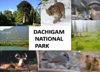 Centre unveils draft notification for ESZ around Dachigam National Park