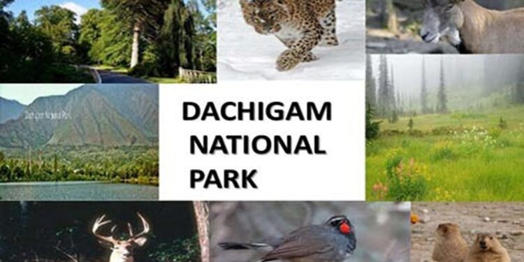 Centre unveils draft notification for ESZ around Dachigam National Park