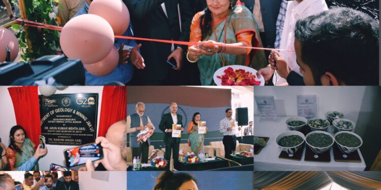CS e- inaugurates Geo-science Museum at SIDCO Budgam