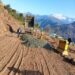 Traffic update: Jammu-Srinagar NHW clearing efforts underway at Dalwas, Ramban; SSG Road open, Mughal Road remains closed
