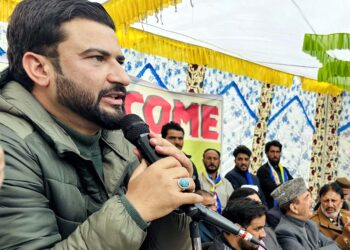 DPAP anguish over prolonged power cuts in J&K
