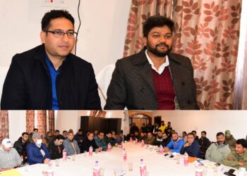 Encourage people against usage of crude electric devices: Div Com Kashmir to DCs