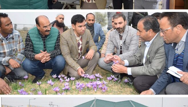 Saffron harvesting season: Div Com Kashmir visits IIKSTC, reviews it’s functioning
