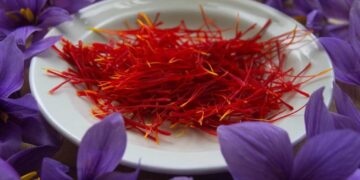 Saffron triumph: Kulgam agri expert cultivates ‘Red Gold’ on his two-story house, sans soil