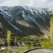 Rare Desert Poplar tree found in Ladakh’s Nubra, reveals expert