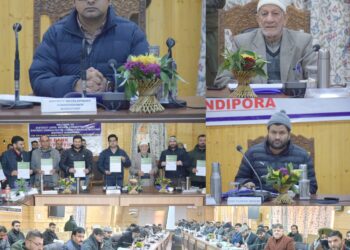 DCC/ DLRC meeting held at Bandipora