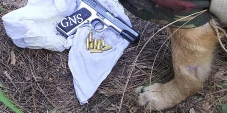 Arms And Ammunition Recovered During Searches In Rajouri
