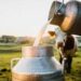 Kashmir’s milk exports surge fourfold to 5701.4 metric tonnes annually