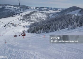 Foreign skier killed, 7 rescued as avalanche hits Gulmarg