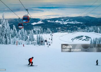 Gulmarg slopes better than Switzerland, America, Canada ‘but’ skiers need Intl level lessons, say Foreign Skiers
