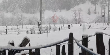Srinagar, Other Plain Areas Receive Rains, Kashmir’s Hilly Regions Get Snowfall