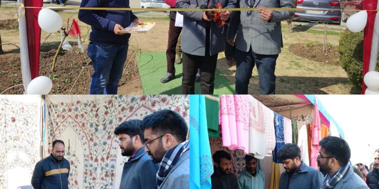 One-Day Spring Exhibition Showcases Artisanal Brilliance in Ganderbal