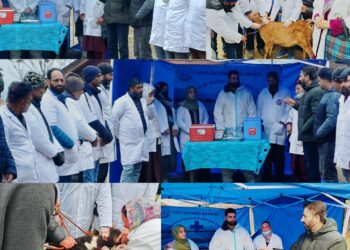 AHD Bandipora launches Round-4th of FMD Vaccination under NADCP
