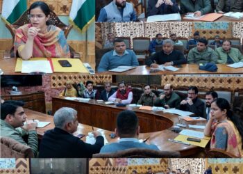 DC Kupwara chairs Road Safety Committee meeting