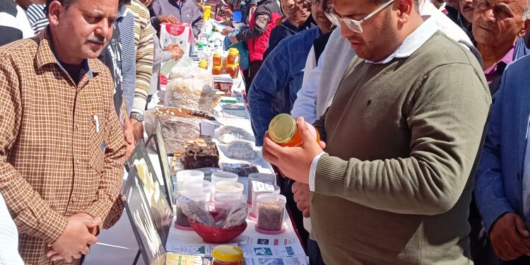 Exhibition cum Workshop on promotion of Beekeeping begins at Samba