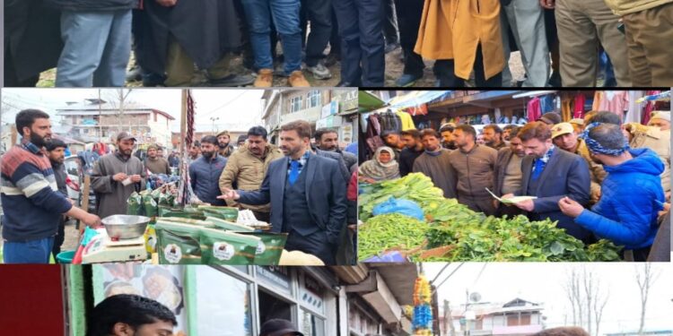 ADC Handwara inspects polling stations