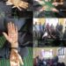 SVEEP: GDC Sumbal organises Mehndi Art Competition