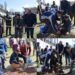 DC Bandipora kick-starts Chinar Plantation Drive