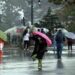J&K braces up for intermittent wet spells till March 31