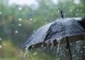 MeT Predicts Wet Spell From Today Evening