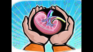 SSH performs 22nd successful Renal Transplant