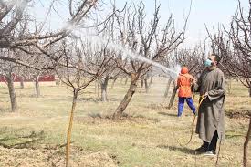 Farmers Advocate use of Standardized Pesticides to Safeguard Orchards