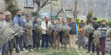 Director Agriculture visits Harwan, Dara, Theed, Faqir Gujri areas of Srinagar