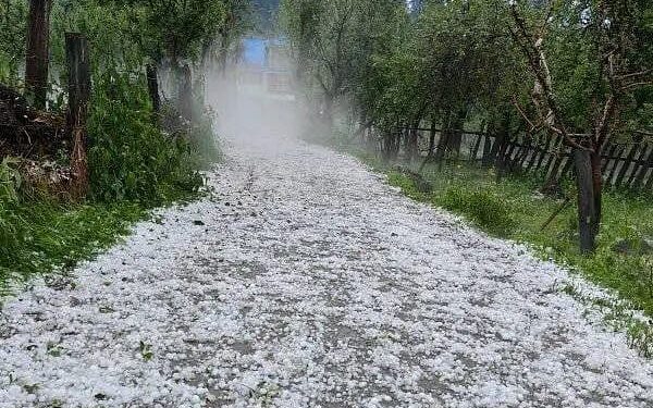 Light rains lash Kashmir parts for 3rd straight day