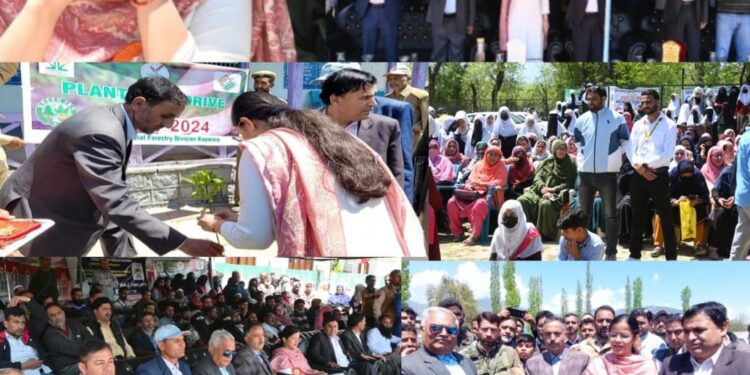 Lok Sabha Elections 2024: DEO Kupwara inaugurates cricket match under SVEEP at Trehgam