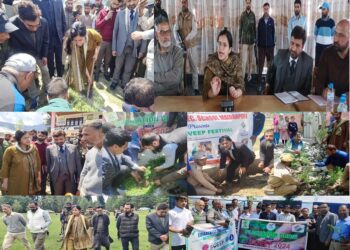 Lok Sabha Elections: 2024 DC Kupwara kick-starts plantation drive at PS Wadder Payeen