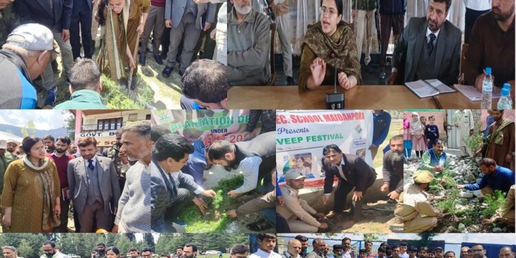 Lok Sabha Elections: 2024 DC Kupwara kick-starts plantation drive at PS Wadder Payeen