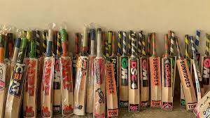 Kashmir Willow Cricket Bat Makes Debut in Women’s International Cricket